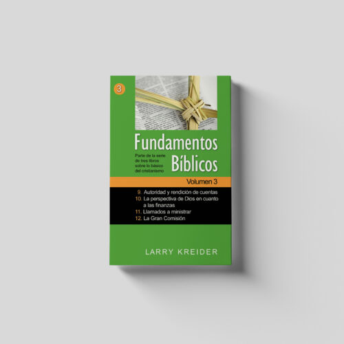 Biblical Foundations Spanish Volume 3